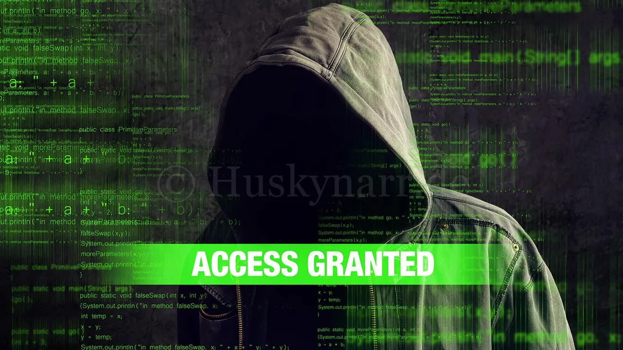 Hacker Access Granted
