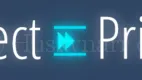 Perfect Privacy Logo