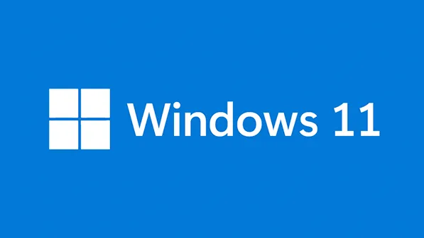 Windows 11 PRO