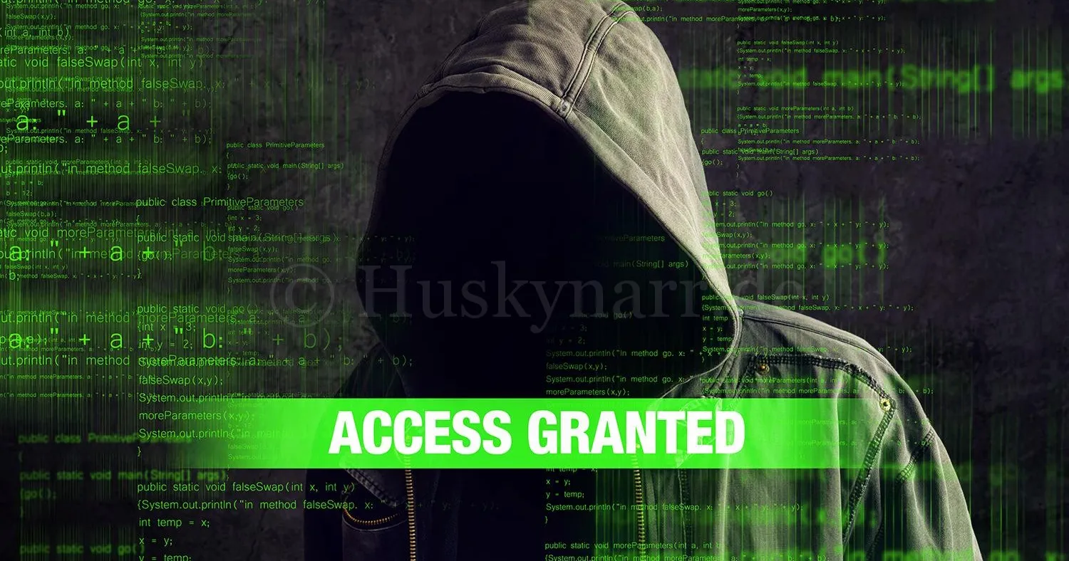 Hacker Access Granted