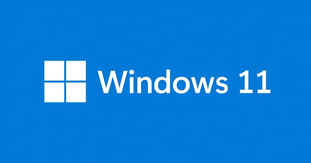 Windows 11 PRO