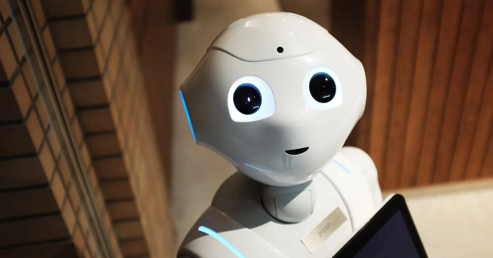high angle photo of robot