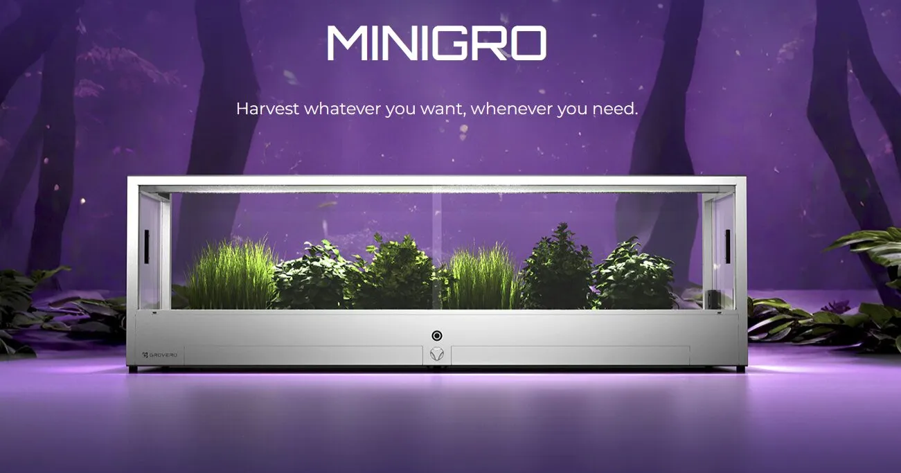 Grovero MiniGro auf der IFA 2024