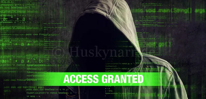 Hacker Access Granted