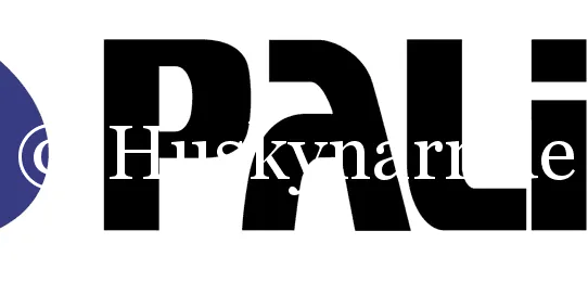 Palit Logo
