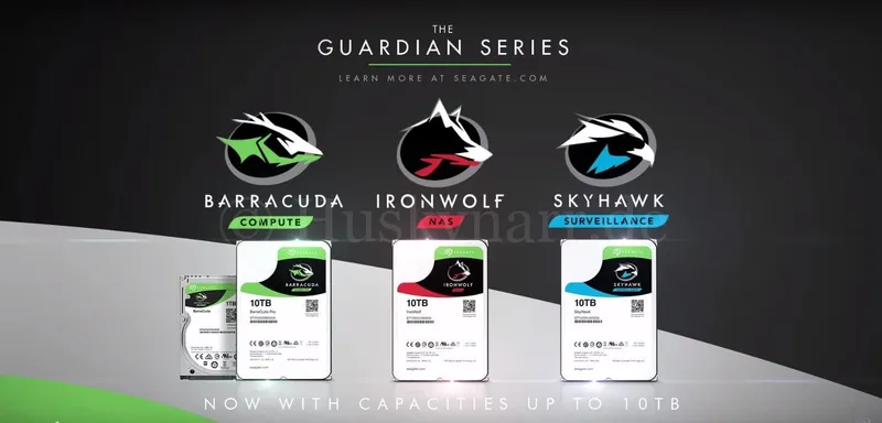 Seagate IronWolf SkyHawk Barracuda