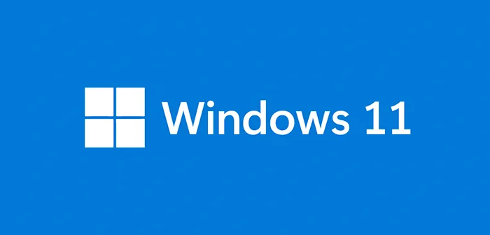 Windows 11 PRO